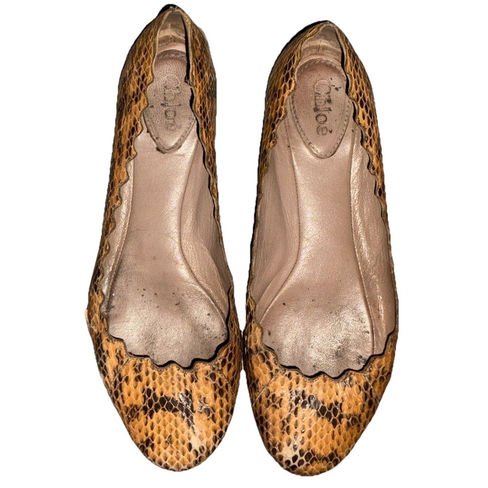 Chloe‎ Lauren Ballet Flats Brown Snakeskin Scalloped Womens Shoe Size EU 37 US 7